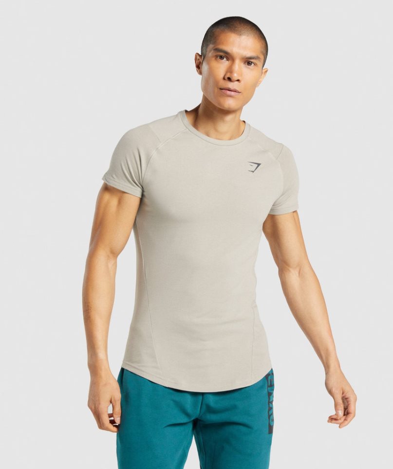 Men's Gymshark Bold T-Shirts Grey | NZ 9ZIUSM